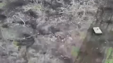 Ukrainian Assaults On Russian Trenches(Avidka)