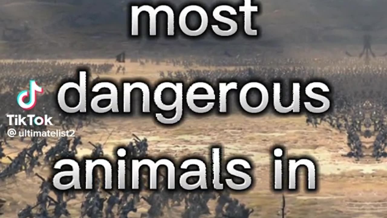 10 dangerous animals