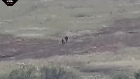 Russian Soldiers Running Through No-Man's-Land