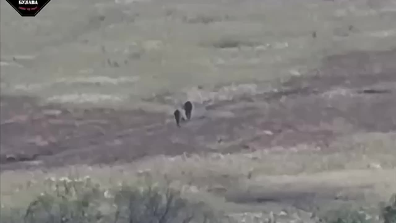 Russian Soldiers Running Through No-Man's-Land