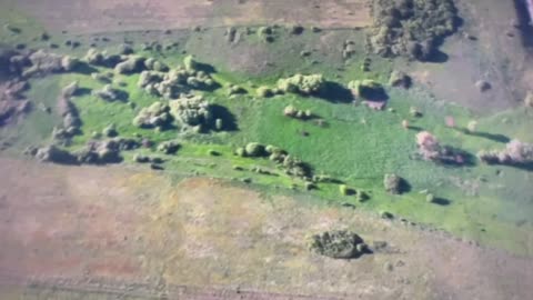 Ukrainian Drones Hunting Russian Soldiers Hiding in the Undergrowth(for server1ok)