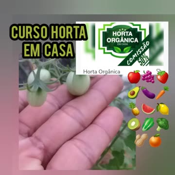 Curso Horta Orgânica em casa Vertical com a Raíssa Augusto -Link na descrição e comentário
