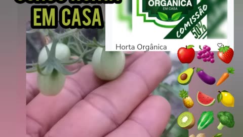 Curso Horta Orgânica em casa Vertical com a Raíssa Augusto -Link na descrição e comentário