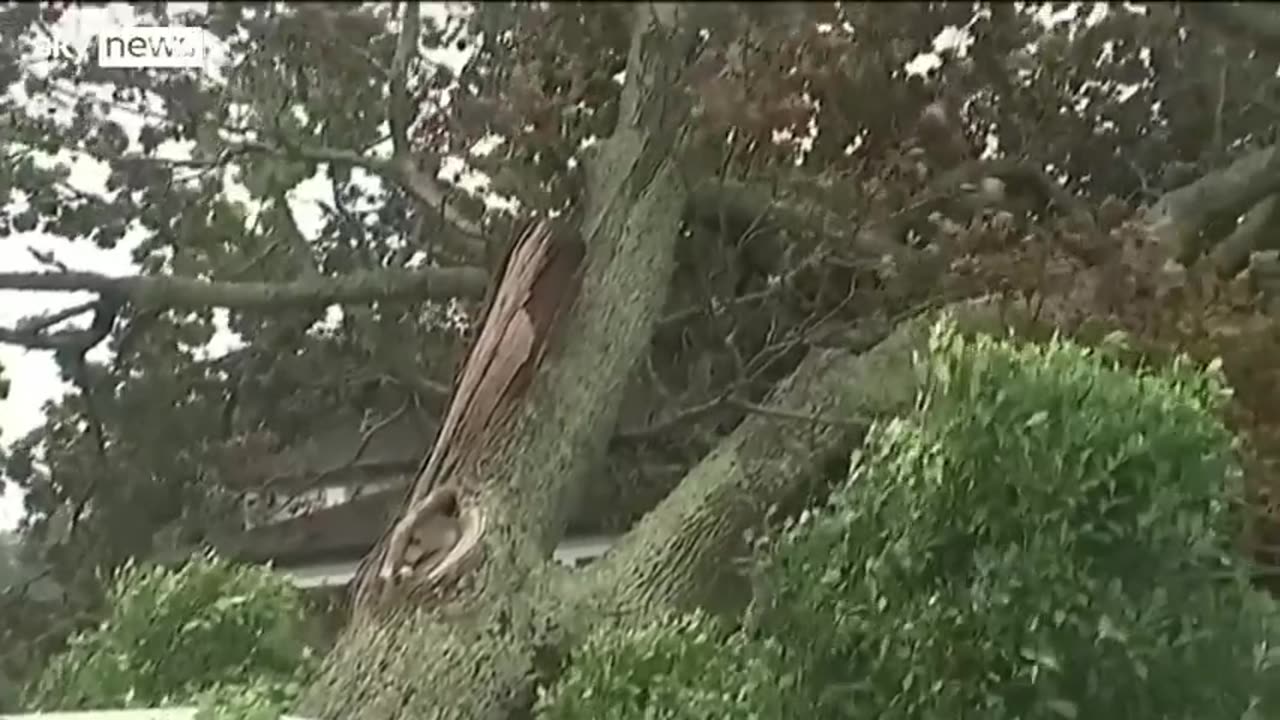 Cyclone Gabrielle: New Zealand declares national state of emergency