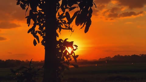 My village