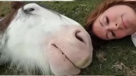Horse SOO Cute! Cute And funny horse Videos Compilation cute moment