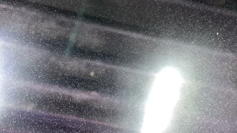 Car Wash Conversations With The Squad ASMR