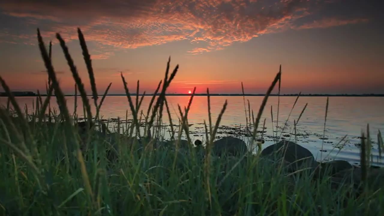 Serene Lakeside: Soothing Howling Wind for Calm and Meditation