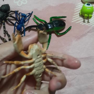 Insect resin toy