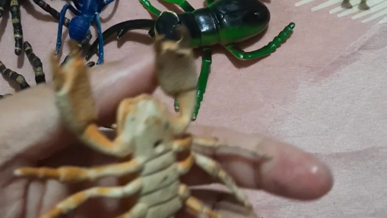 Insect resin toy