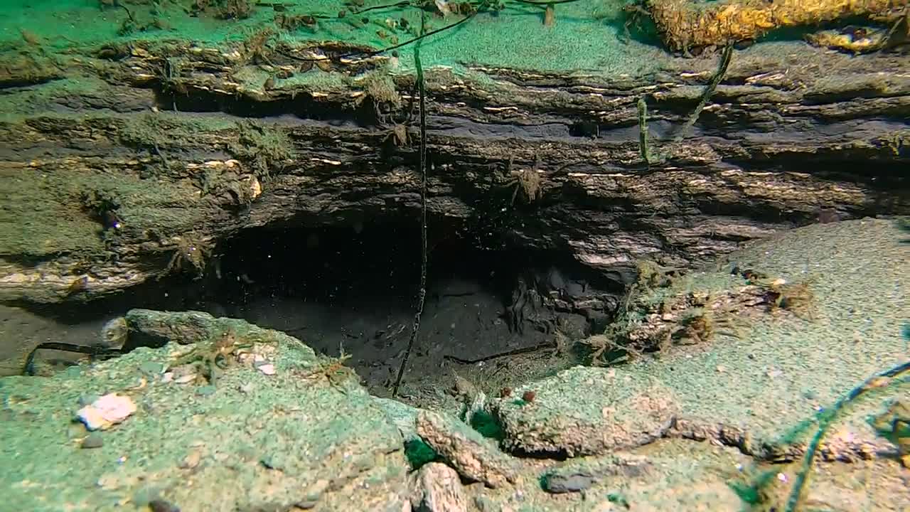 La Jolla Shores, Main Wall, 11_26_22