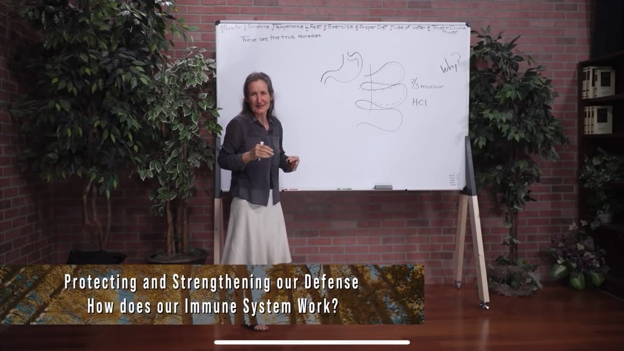 Heal Your Immune System- Barbra O’Neil