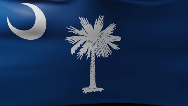 Flag of South Carolina