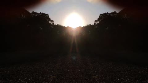 Plasma Being