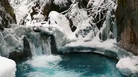 winter seasonn