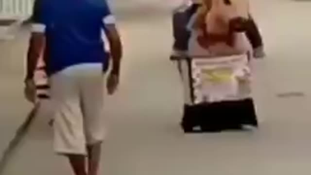Kuda ngamuk di jalanan ngeriii