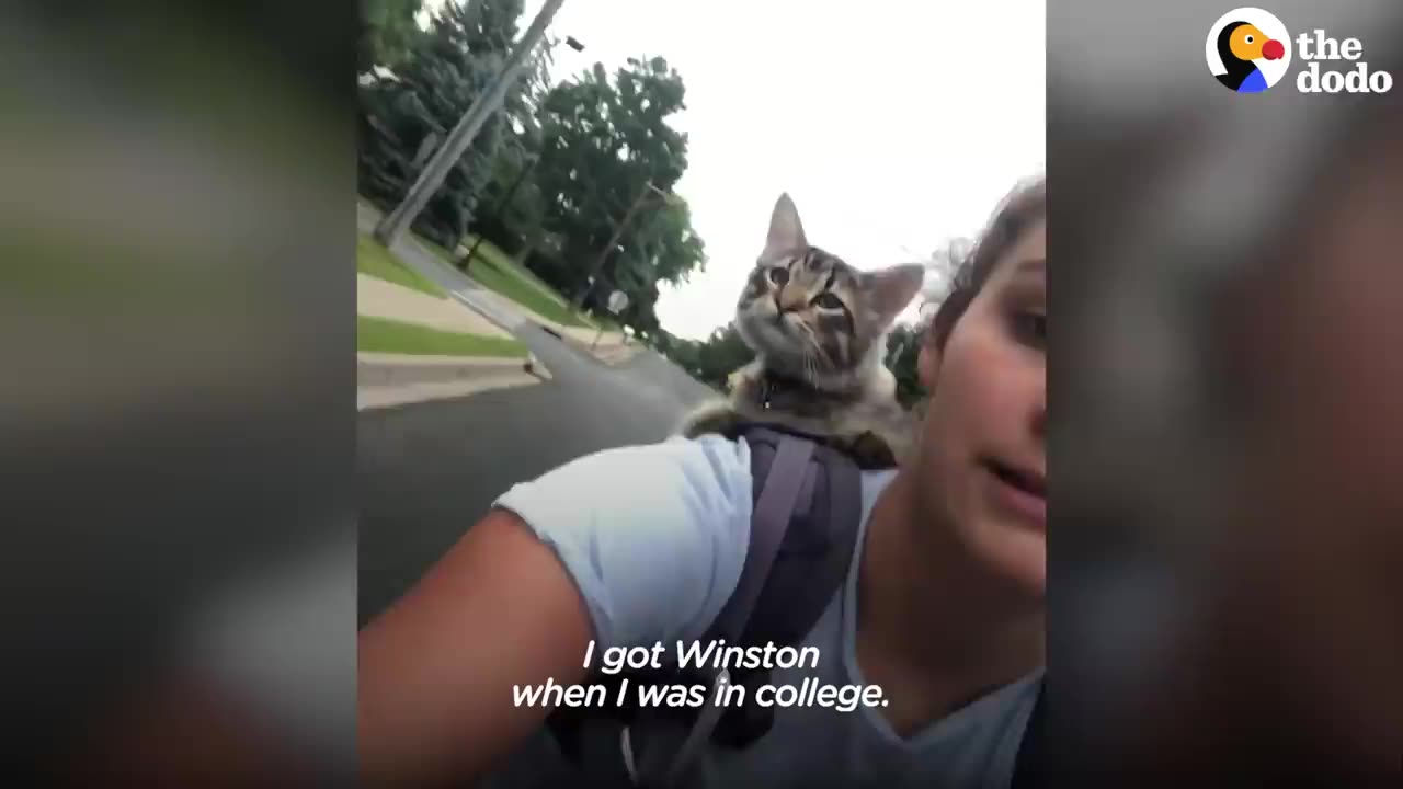 Cat Loves To Go Kayaking With His Baby Sis | The Dodo