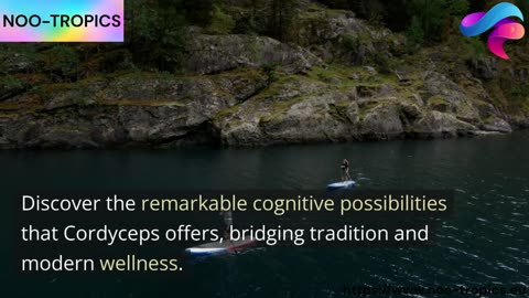 Unveiling the Cognitive Magic: The Nootropic Benefits of Cordyceps