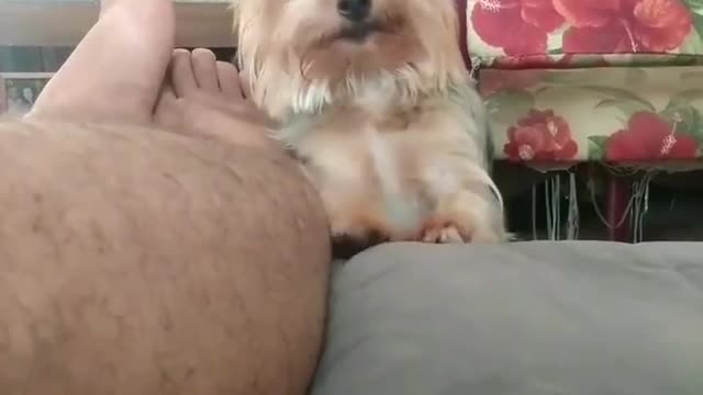 Excuse me sir, could you give me some LOVE💕 #trending #rumble #shorts #fyp