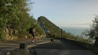 Gibraltar - Why There's Wild Monkeys
