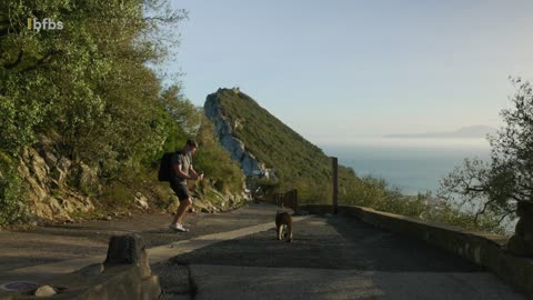 Gibraltar - Why There's Wild Monkeys