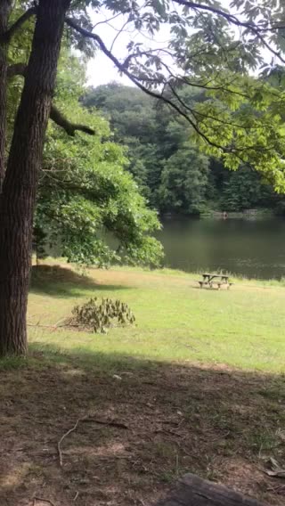 Nature Heals. Water Heals