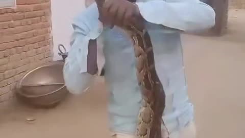 Snake attack