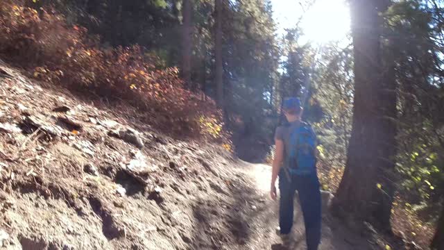 Stack Rock Trail