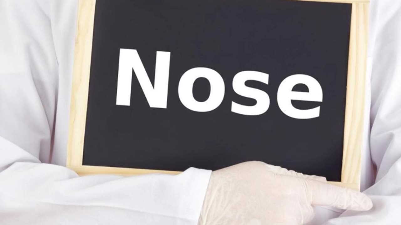 #human #organs #interestingfacts