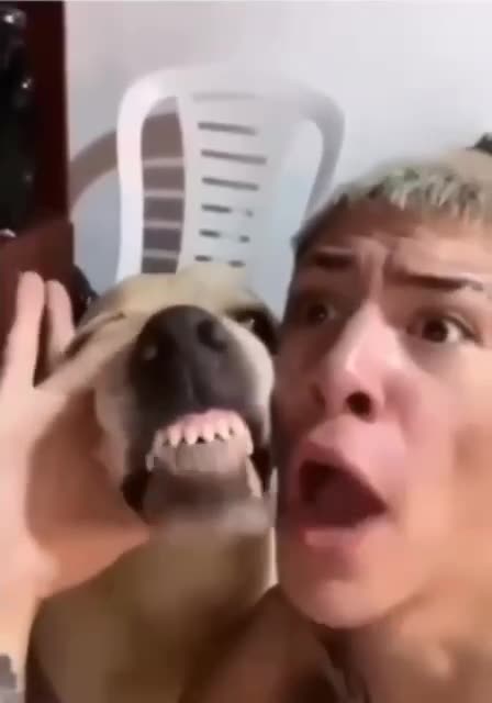 Unforgettable Rapping Duo 🤣