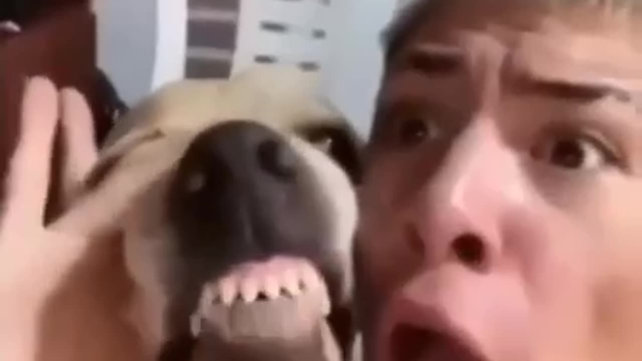 Unforgettable Rapping Duo 🤣