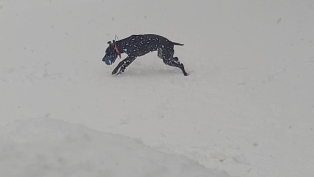 1-3" they said