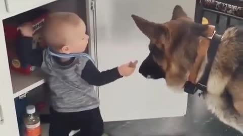 The little master likes the dog very much