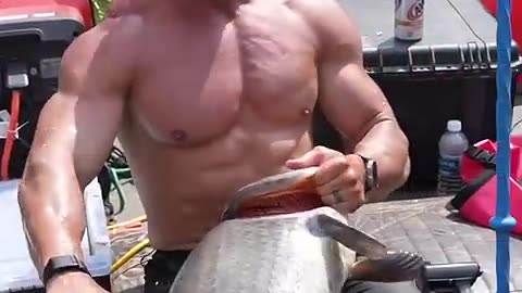 Amazing big fish hunting