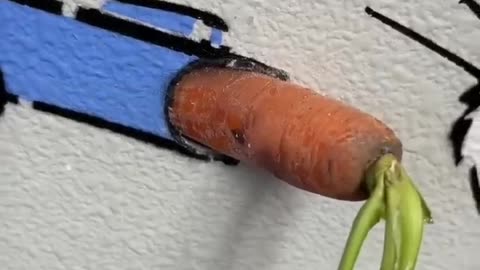 Why you should hide a carrot in your wall 🥕