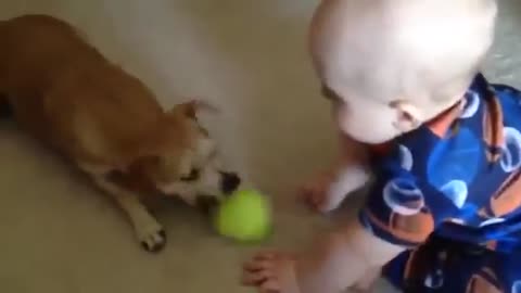 Funny baby enjoying with pet cat🐈