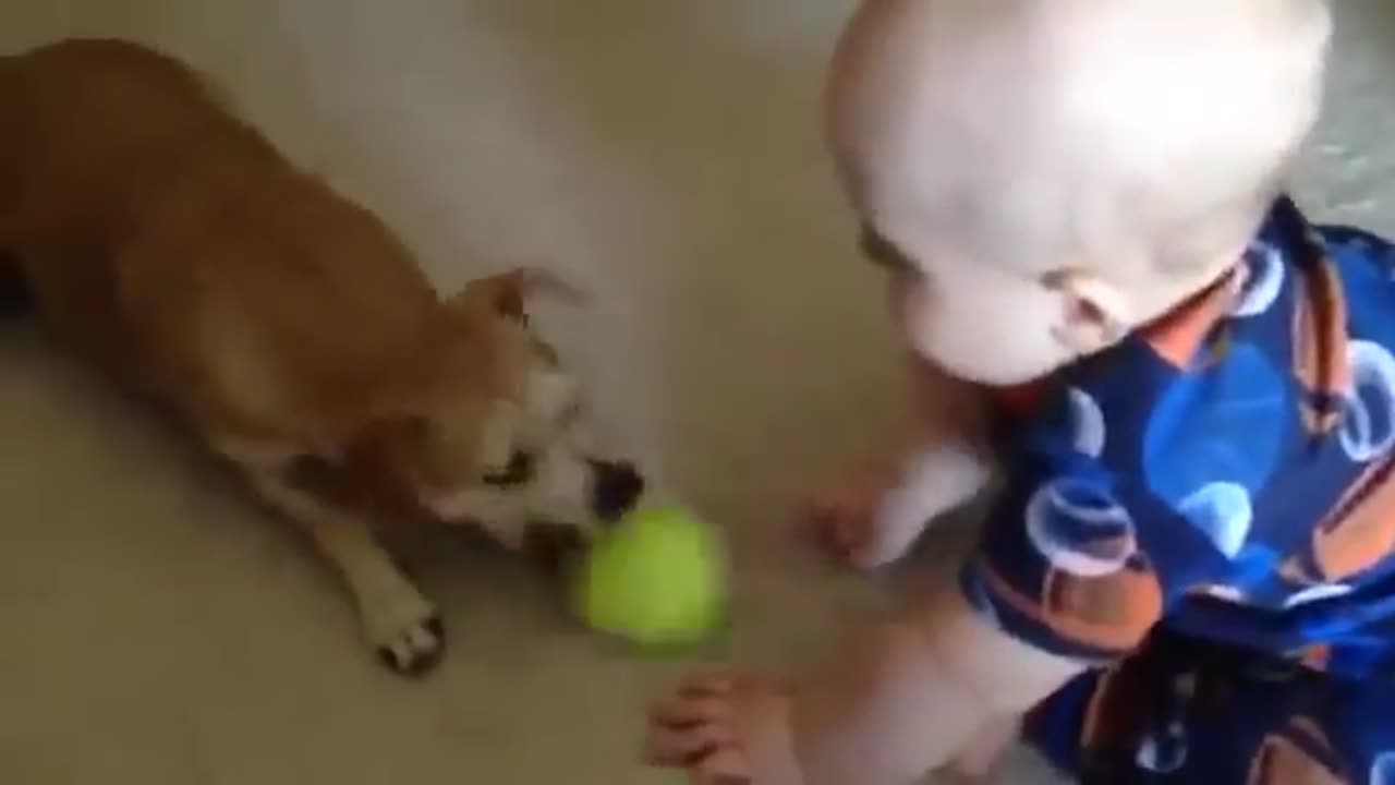 Funny baby enjoying with pet cat🐈