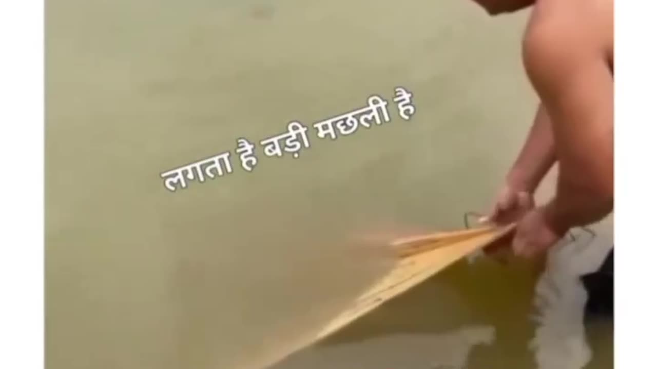 Funny video