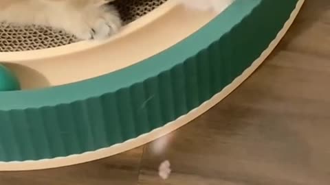 One is quite,the other is active.