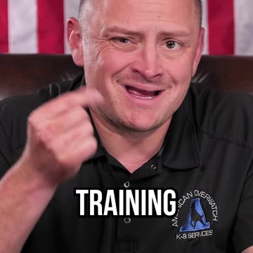 I’m Quitting Dog Training