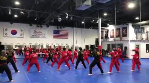 Taekwondo