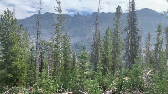 Eastern Oregon – Strawberry Lake + Wilderness – Beautiful Forest & Mountain Views – 4K