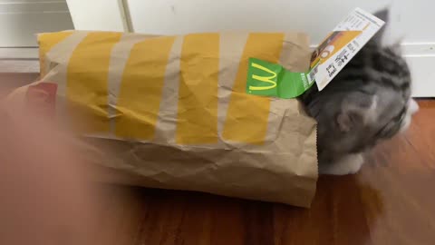 McDonald's bags grow cats?