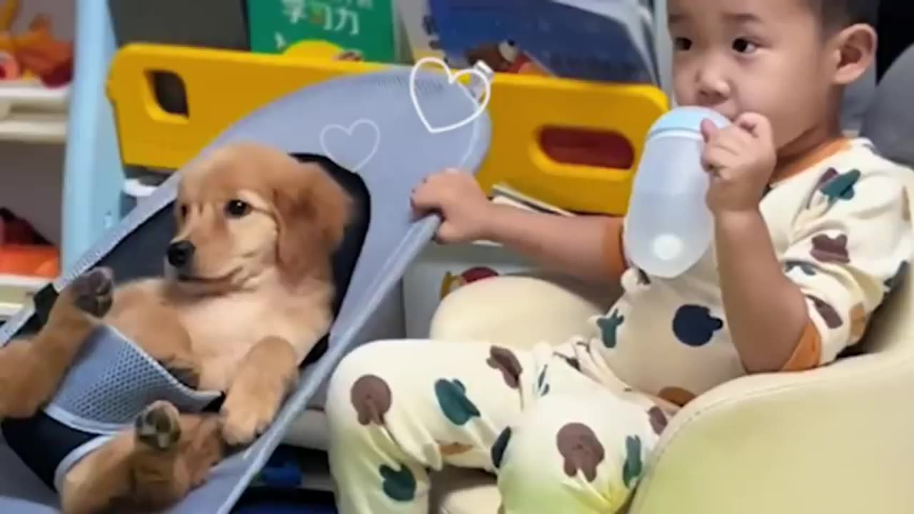 When we become best friends - Cute dog and their little friends