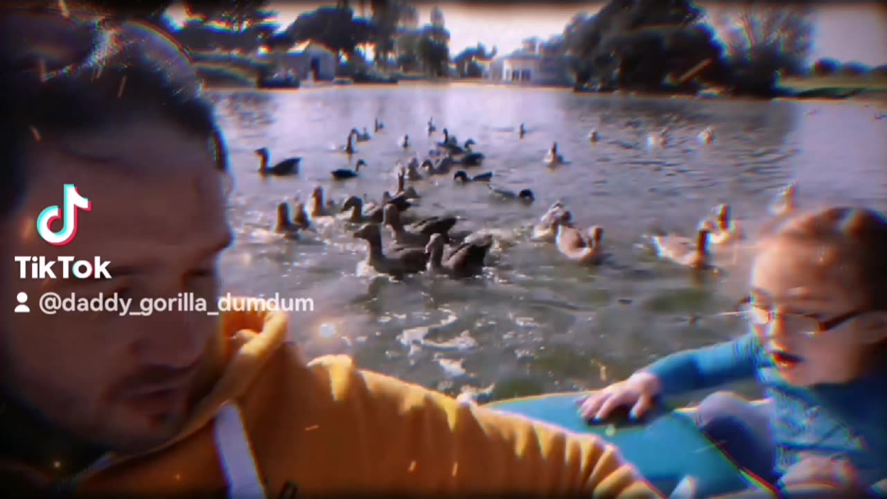 June 2016 feeding geese from the back of a pedal boat