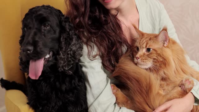 Sweet dog please. Watch subcrib
