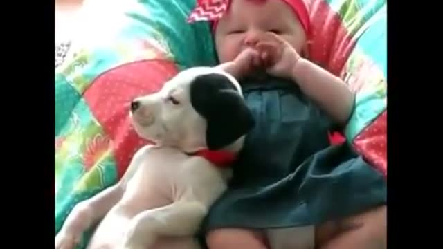 What Happens Between This Baby And Pit Bull - Ohh Baby - Key 09