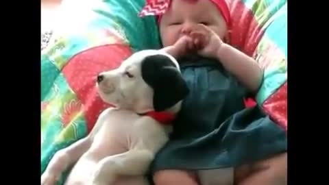 What Happens Between This Baby And Pit Bull - Ohh Baby - Key 09