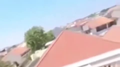 Bird Stole Phone While Filming❗