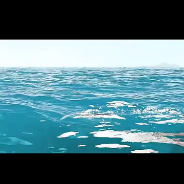 the little girl saved the whale,and the whale was reluctant to leave